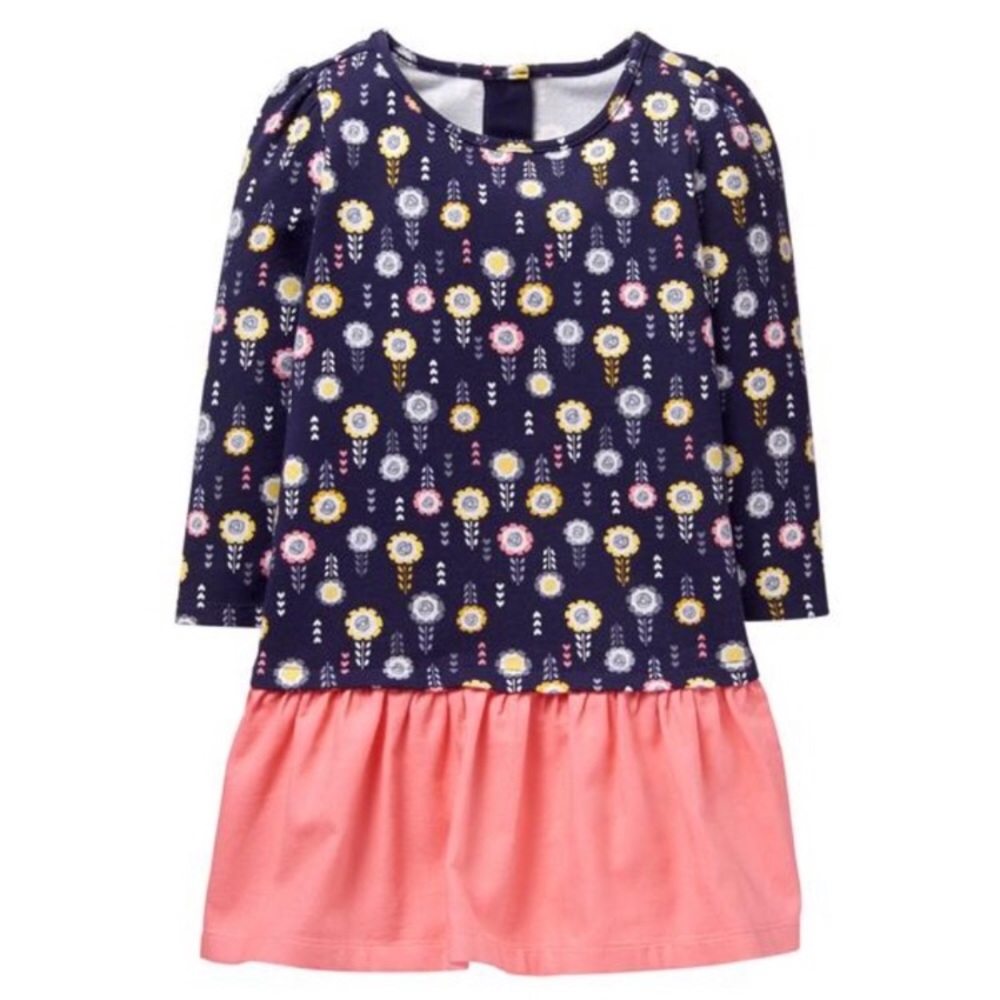 EUC Gymboree 6/12 month Dress and Bloomers